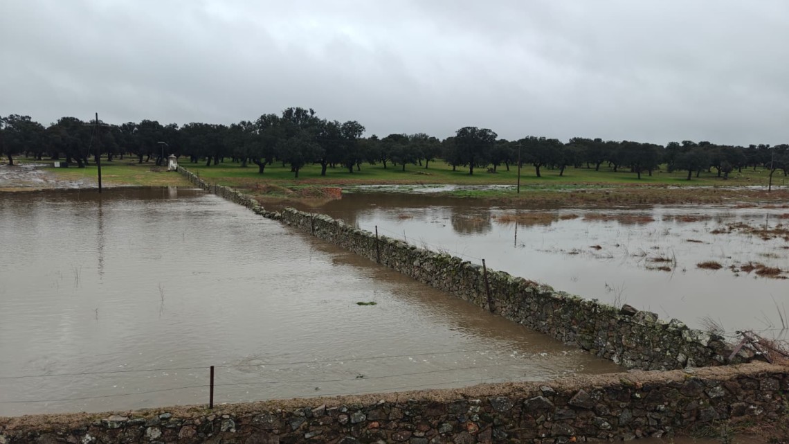 Estado de algunas zonas tras las precipitaciones de las últimas semanas