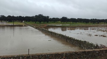 Estado de algunas zonas tras las precipitaciones de las últimas semanas