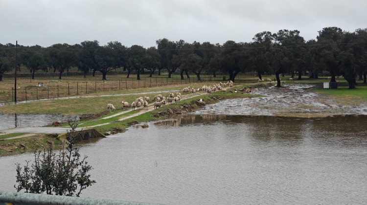 Los efectos de las intensas lluvias se dejan notar en la comarca