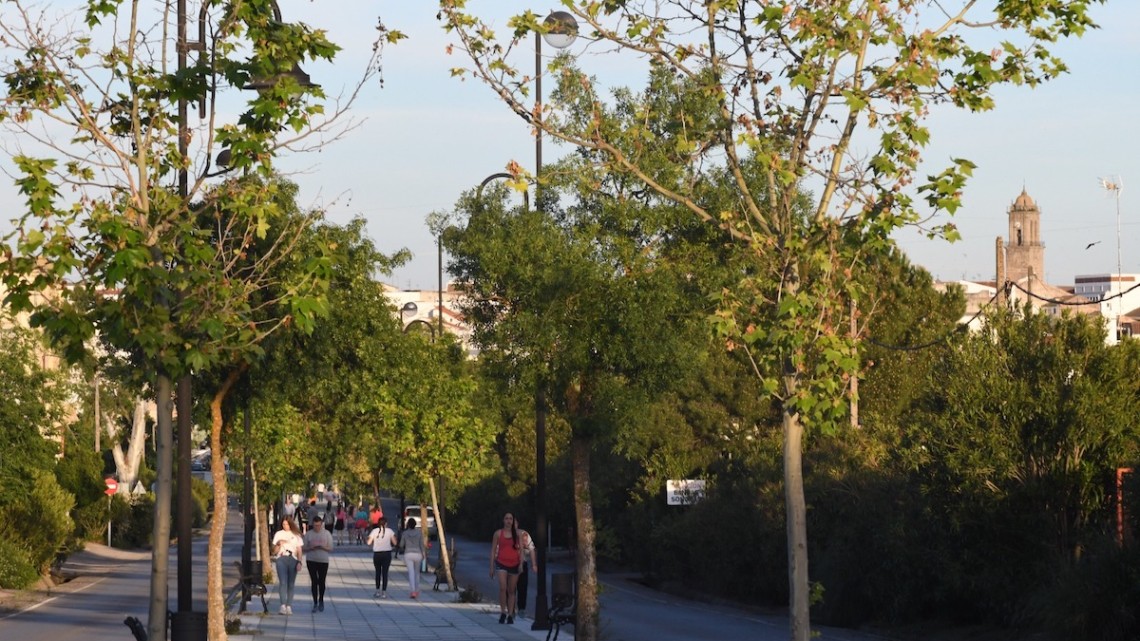Una imagen del Paseo de Andalucía
