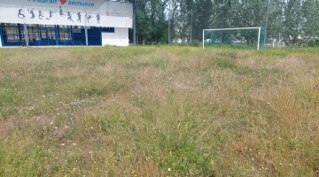Campo de fútbol 7 de Villaralto