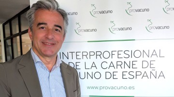 Raúl Sanz, nuevo presidente de PROVACUNO