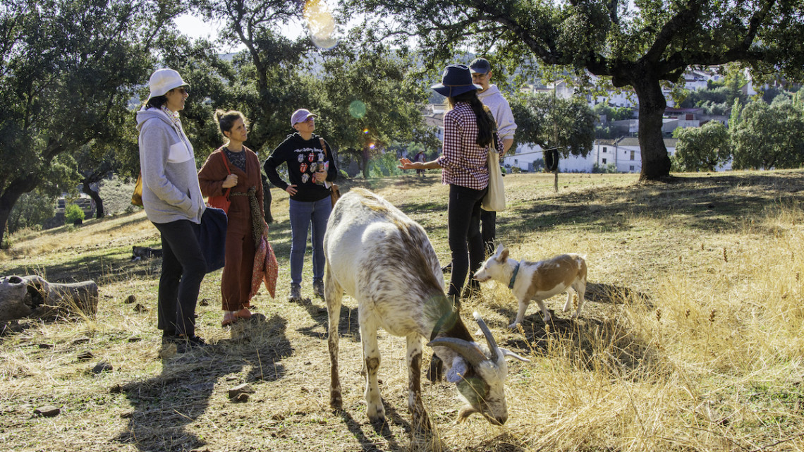 Uno de los talleres de Dehesa de las Artes. Foto: Anna Fabre