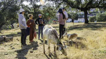 Uno de los talleres de Dehesa de las Artes. Foto: Anna Fabre