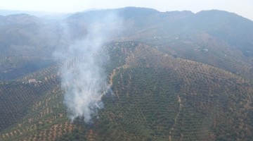 Incendio. Foto: Plan Infoca