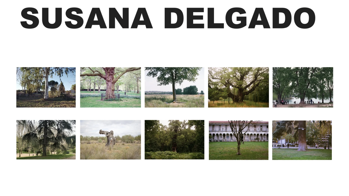 Algunas obras de Susana Delgado