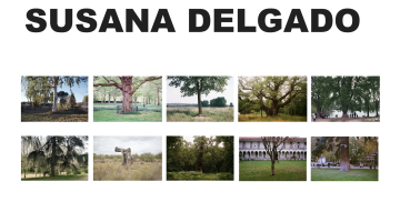 Algunas obras de Susana Delgado