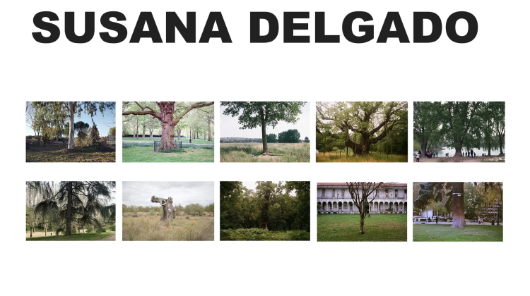 Algunas obras de Susana Delgado