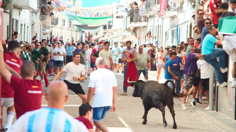 Encierros en El Viso