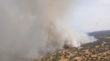 Imagen del incendio. Foto: Plan Infoca