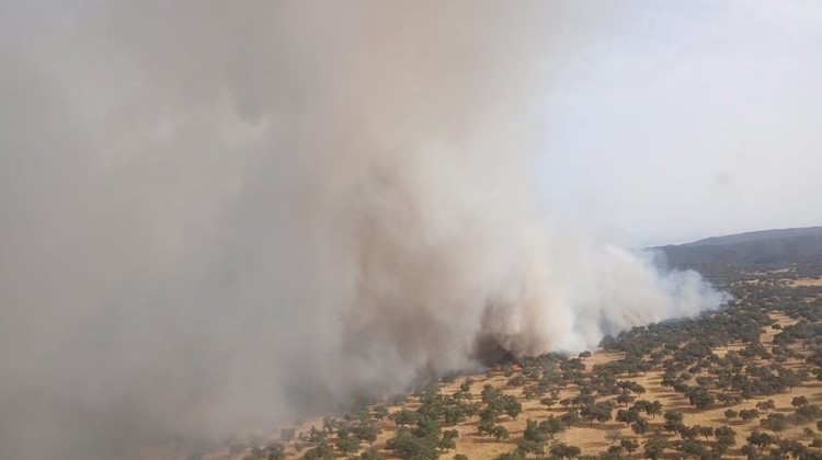 Imagen del incendio. Foto: Plan Infoca