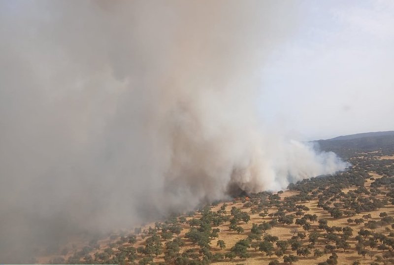 Imagen del incendio. Foto: Plan Infoca
