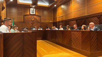Pleno del mes de julio