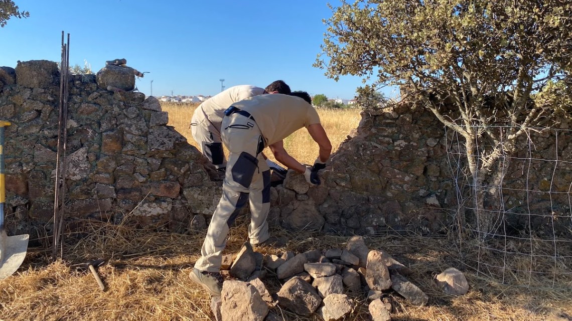 Los Pedroches busca manos que no dejen morir la piedra seca