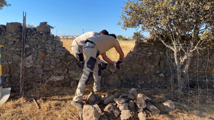 Los Pedroches busca manos que no dejen morir la piedra seca
