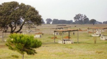 Imagen del parque periurbano de Fuente la Zarza donde se ubica el pantano
