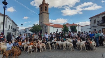 Imagen de la concentración de rehalas de la edición de 2024