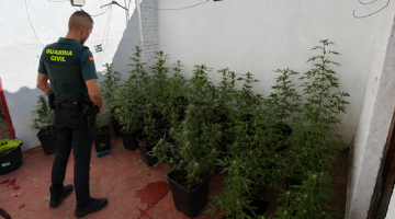 Foto distribuida por la Guardia Civil correspondiente a la denuncia de Hinojosa del Duque