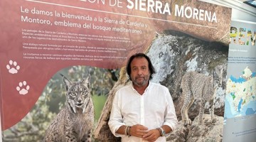 El centro cuenta con un renovado espacio expositivo