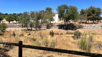 Tramo del cauce del arroyo Santa María sobre el que se ha actuado.