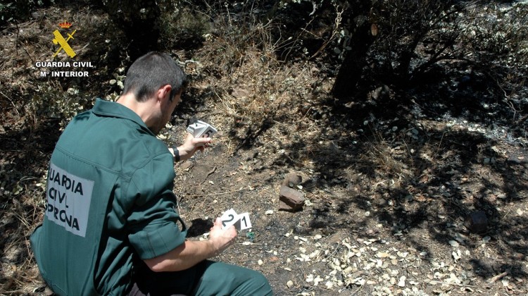 Agente del Seprona investigando el origen de uno de los incendios sucedidos en julio