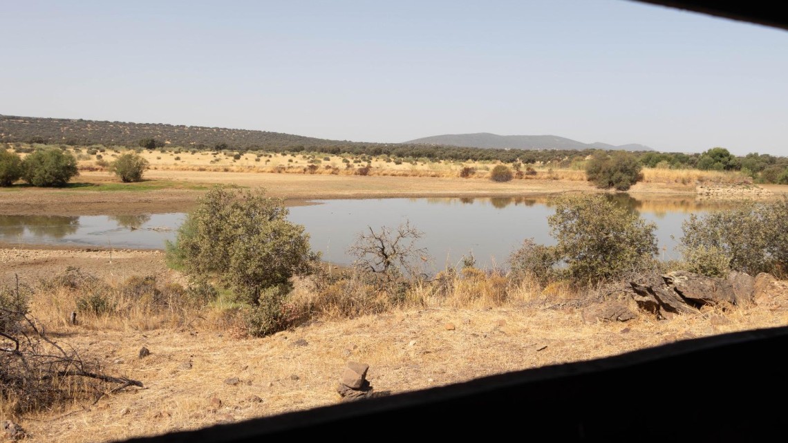 Vista del embalse desde el observatorio de aves en el embalse de Fuente la Zarza