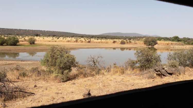 Vista del embalse desde el observatorio de aves en el embalse de Fuente la Zarza