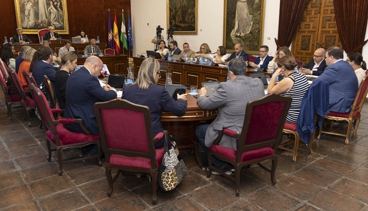 Celebración del pleno de octubre de la institución provincial.
