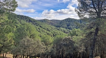 Vista general del Parque Natural Sierra de Cardeña y Montoro.