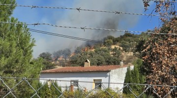 Las llamas han estado cerca de los chalets. Foto: Suministros RC Carrasco